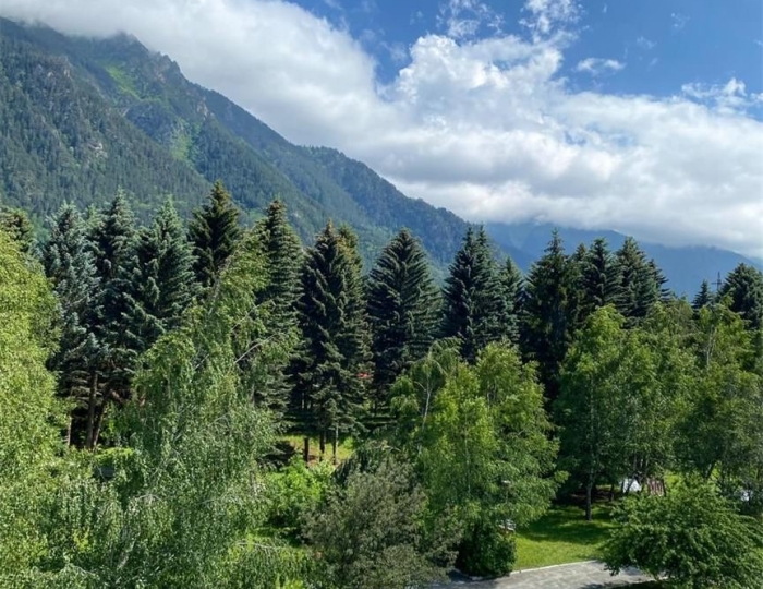 Стандартный блочный 1-местный 1-комнатный - Санаторий «Озон» Теберда