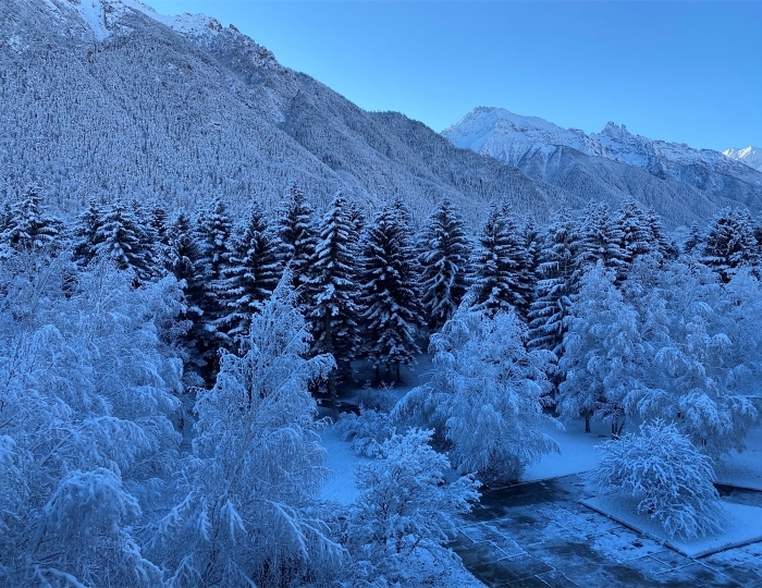 Люкс 2-х комнатный, 2-х местный - Санаторий «Озон» Теберда
