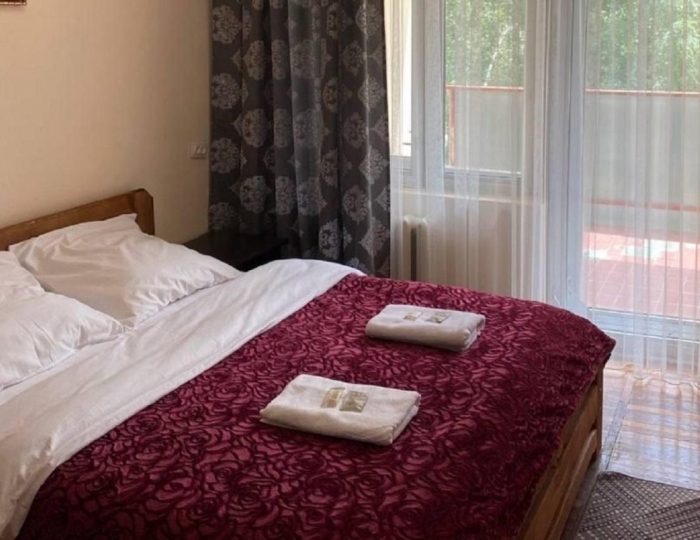 Номер эконом с 1 двуспальной кроватью (с пансионом) - Санаторий «Озон» Теберда